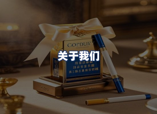 关于我们
